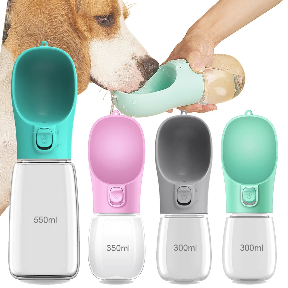 Gourdes pour Chiens & Chats  🐾