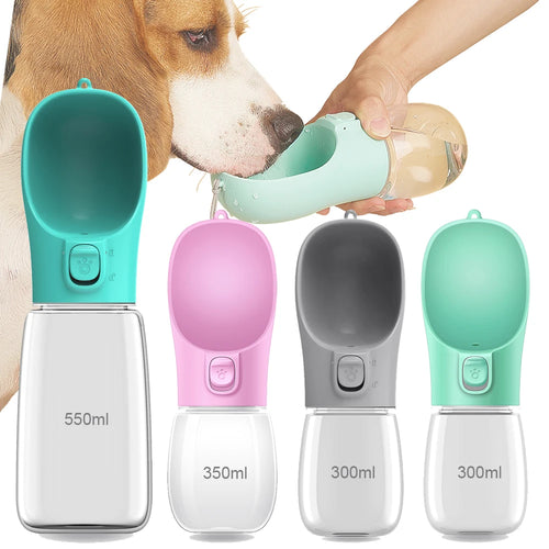 Gourdes pour Chiens & Chats  🐾