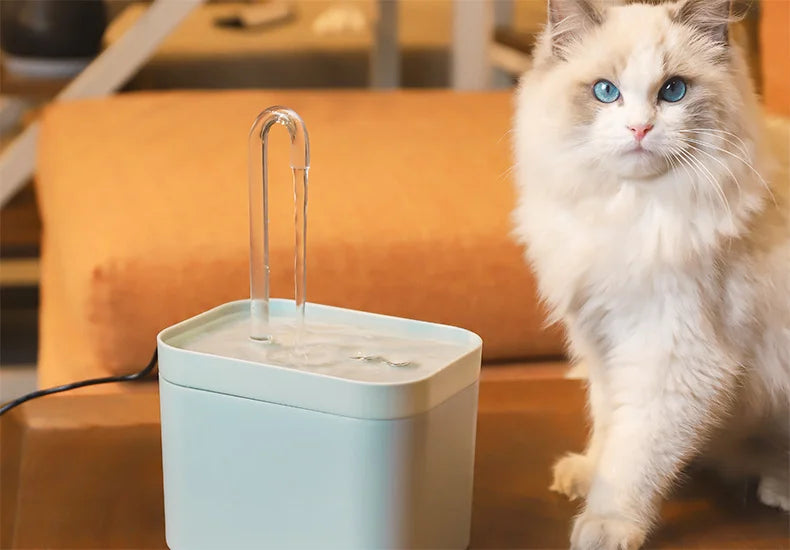 Fontaines à Eau Automatique 1,5 L 🐾